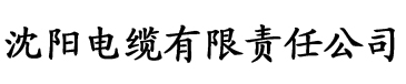 www91香蕉视频电缆厂logo